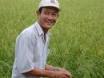 Learning a language by performance - vietnam worker